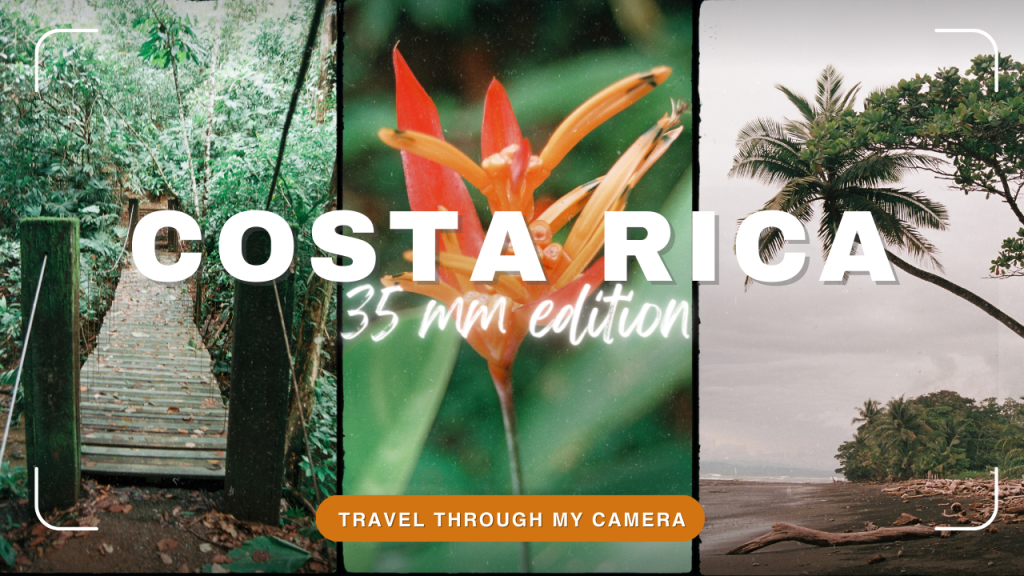 Jungle walk in Costa&nbsp;rica